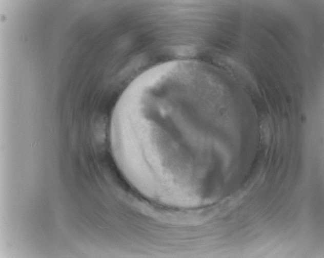 X0000061140032200512091945