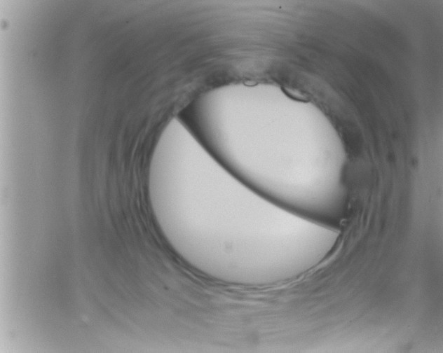 X0000061140033200512091945