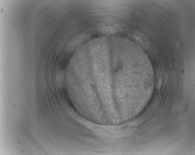 X0000061140034200512091945