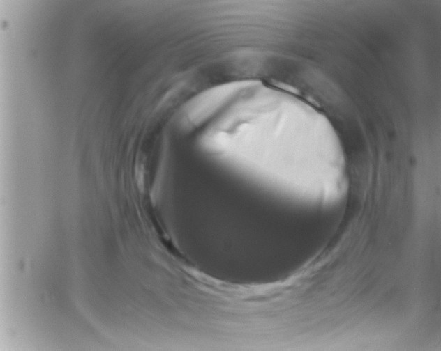 X0000061140035200512091945