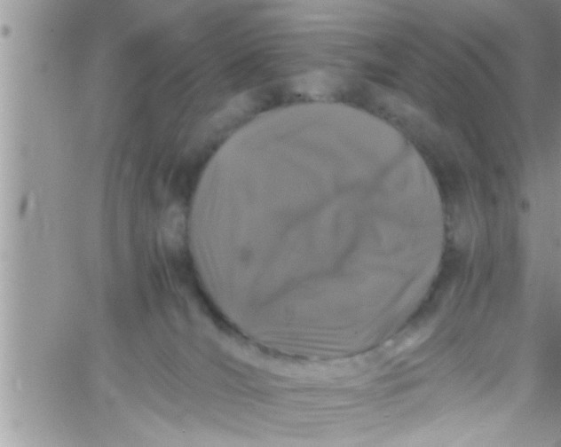 X0000061140036200512091945