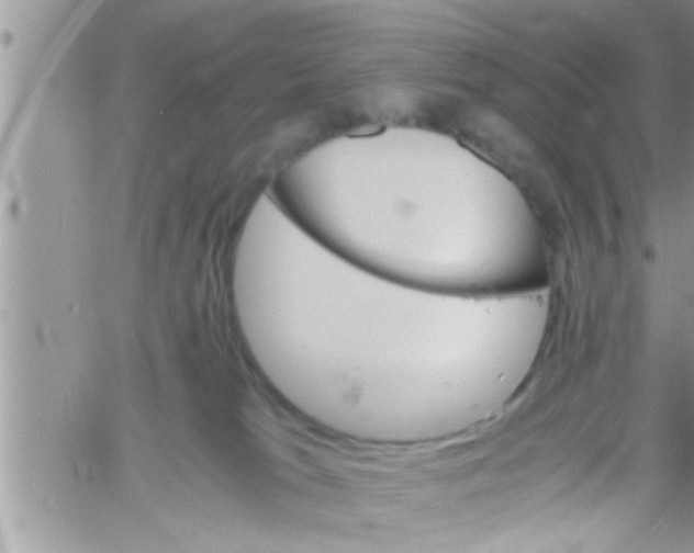 X0000061140037200512091945