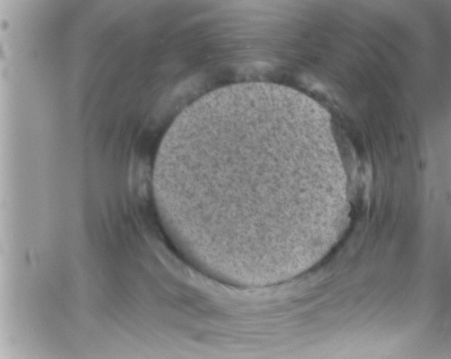 X0000061140038200512091945