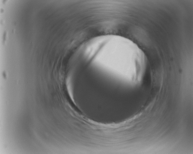 X0000061140039200512091945