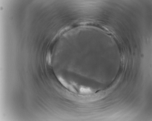 X0000061140046200512091945