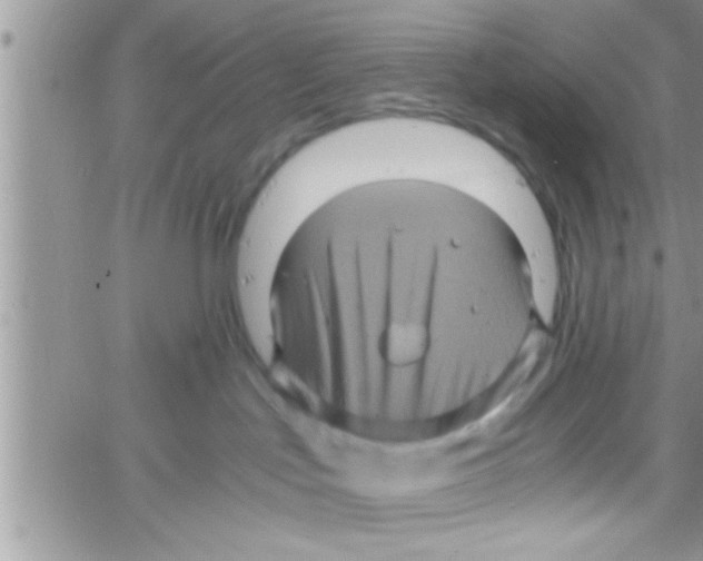 X0000061140047200512091945