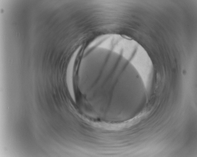 X0000061140048200512091945