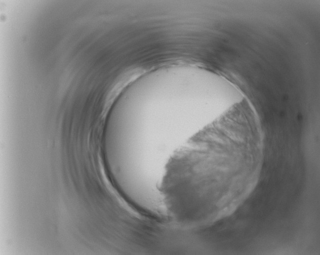 X0000061140049200512091944