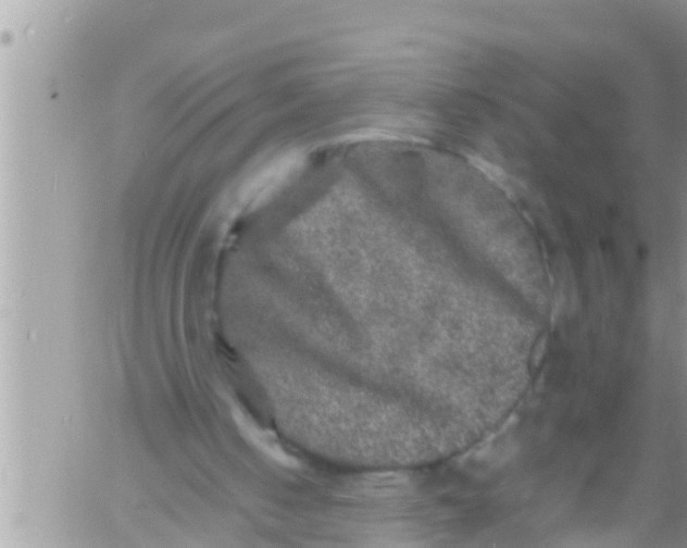 X0000061140050200512091944