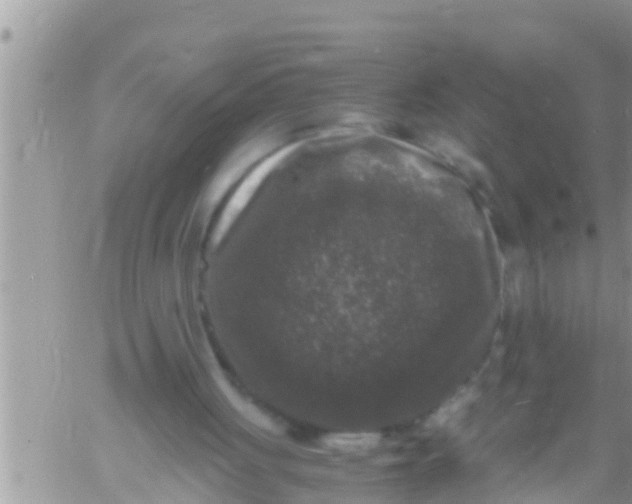 X0000061140051200512091944