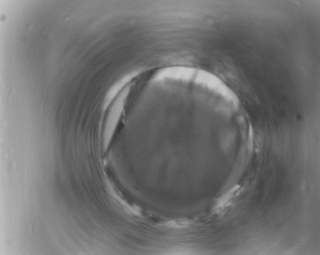 X0000061140052200512091944