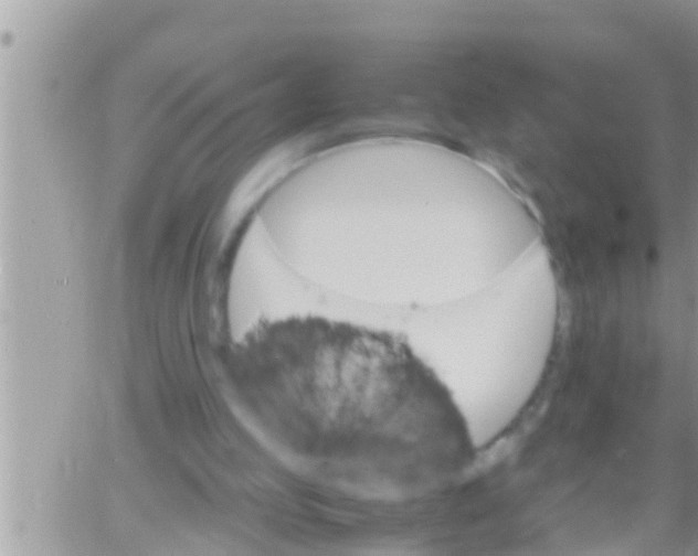 X0000061140053200512091944