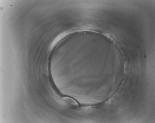 X0000061140054200512091944