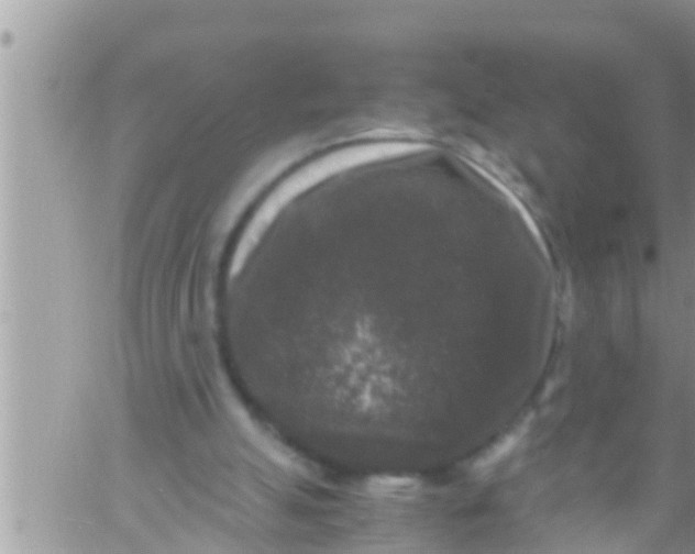 X0000061140055200512091944