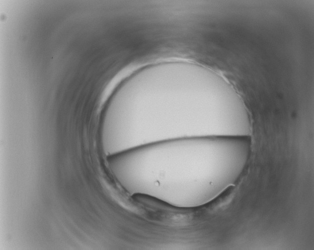 X0000061140056200512091944