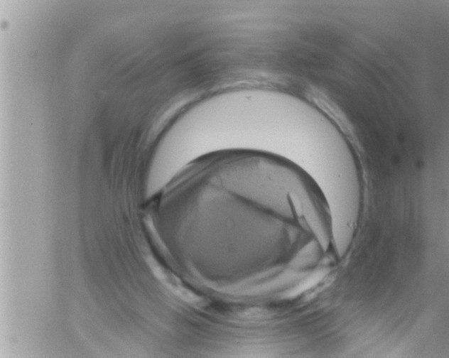 X0000061140058200512091944