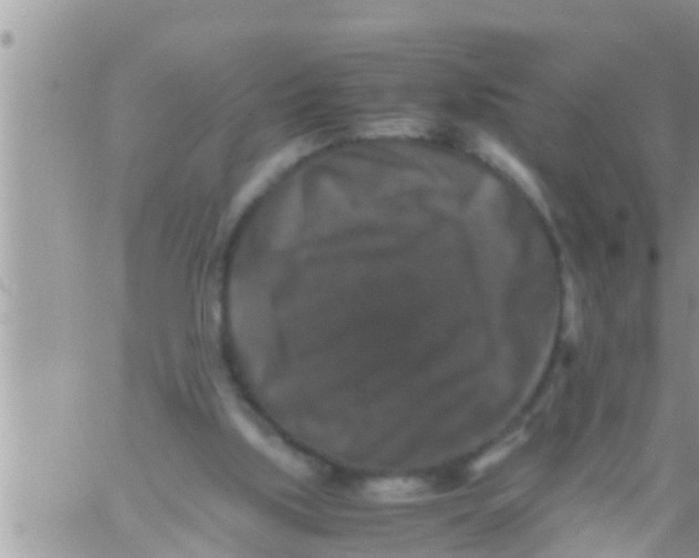 X0000061140059200512091944