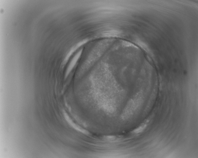 X0000061140060200512091944