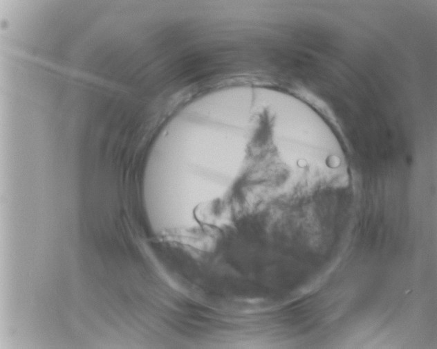 X0000061140061200512091944