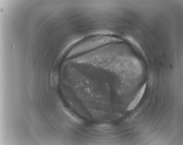 X0000061140063200512091944