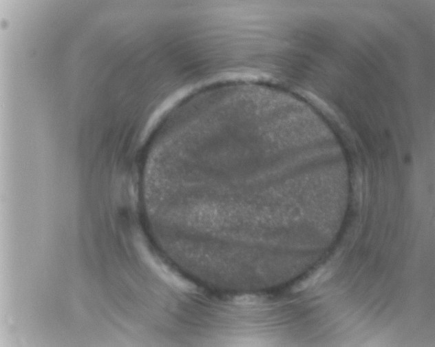 X0000061140064200512091944