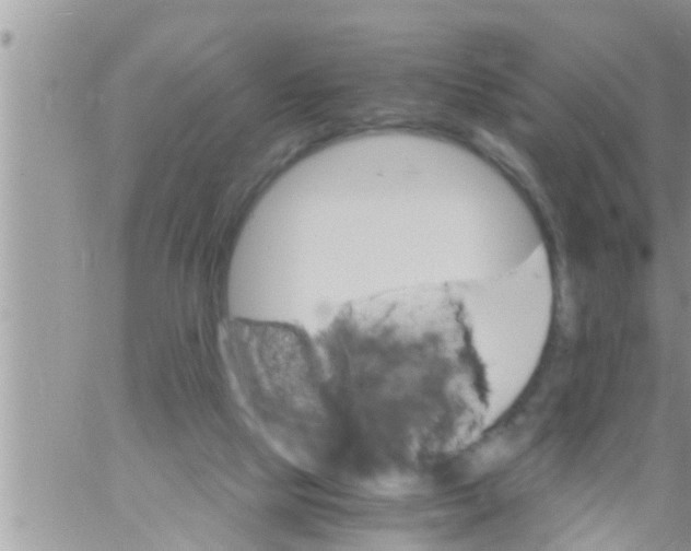 X0000061140065200512091944