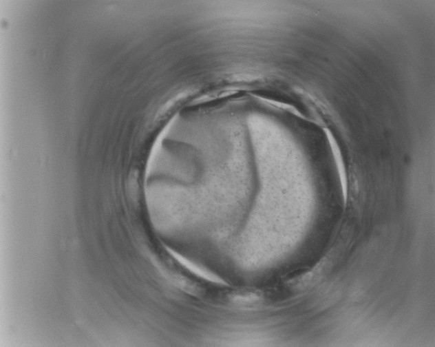 X0000061140066200512091944