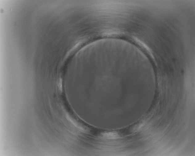 X0000061140067200512091944