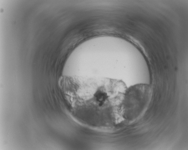 X0000061140069200512091944