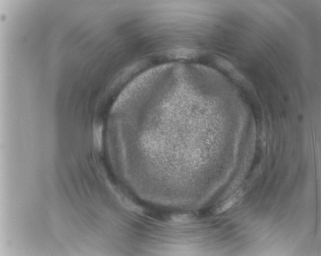 X0000061140070200512091944