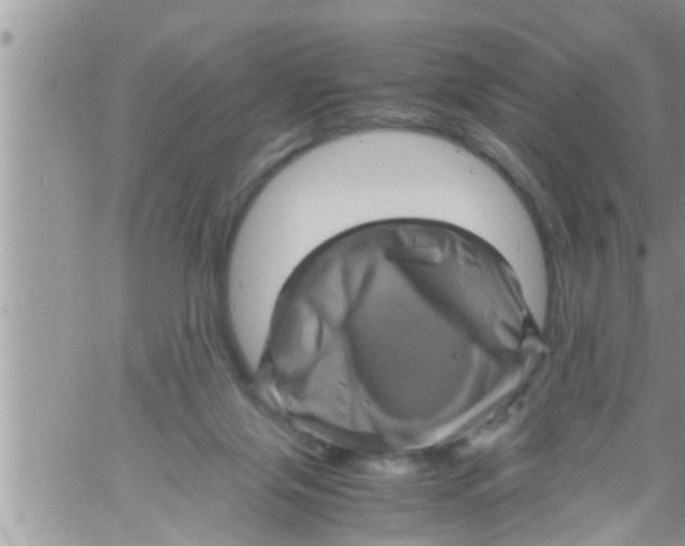 X0000061140071200512091944