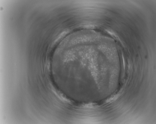 X0000061140072200512091944