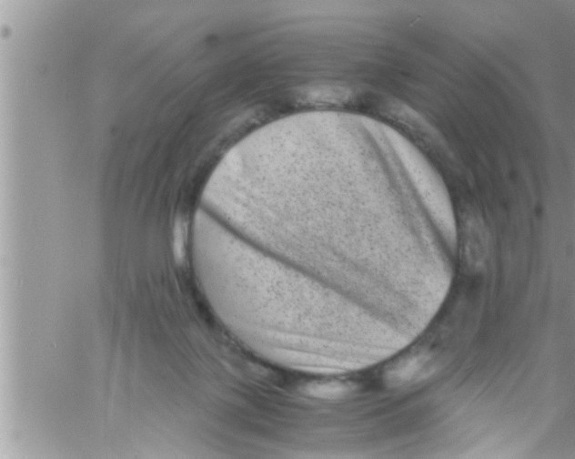 X0000061140075200512091944