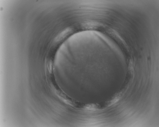 X0000061140076200512091944