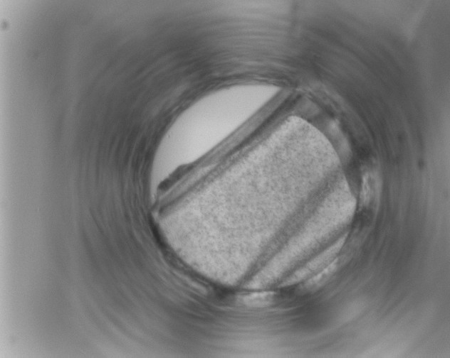 X0000061140078200512091944