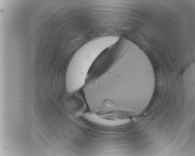 X0000061140080200512091944