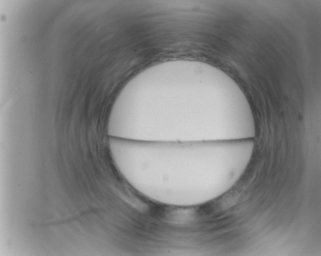 X0000061140081200512091944