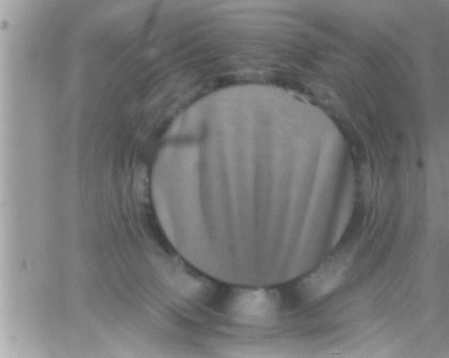 X0000061140083200512091944