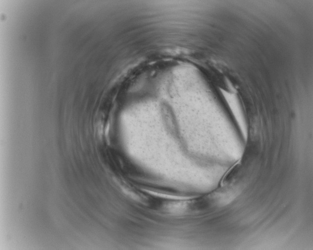 X0000061140084200512091944