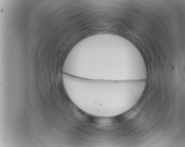 X0000061140085200512091945