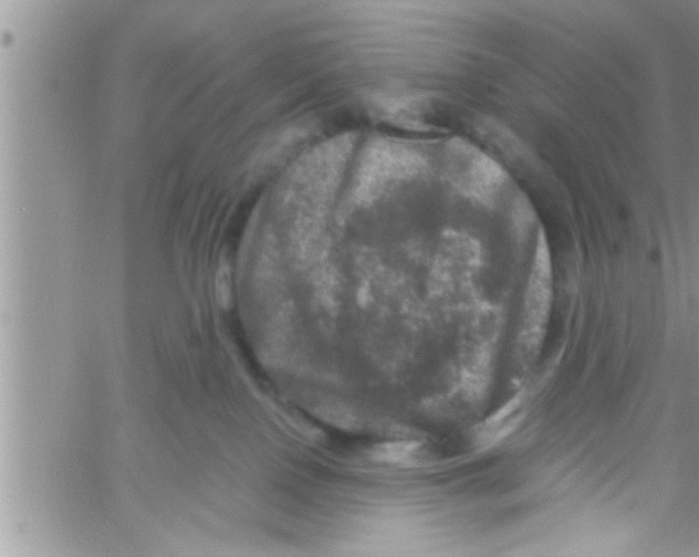 X0000061140090200512091945