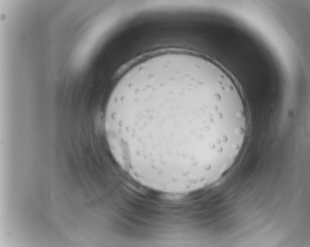 X0000061140093200512091945