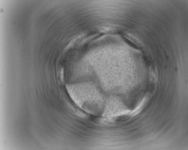 X0000061140094200512091945