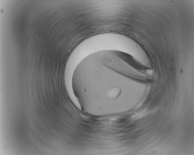 X0000061140096200512091945