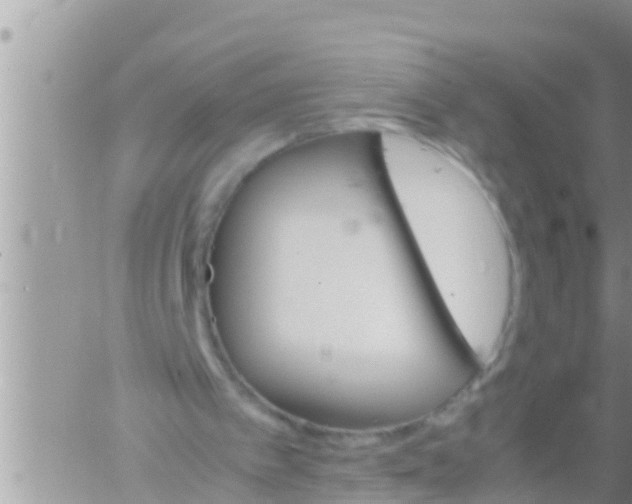 X0000061140097200512091944