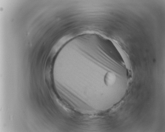 X0000061140098200512091944