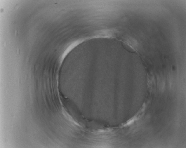 X0000061140100200512091944