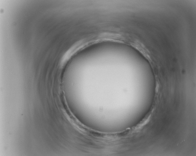 X0000061140101200512091944