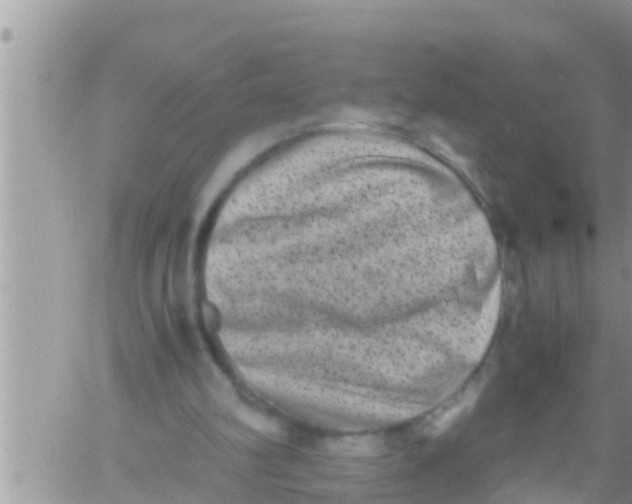 X0000061140102200512091944