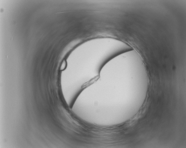 X0000061140104200512091944